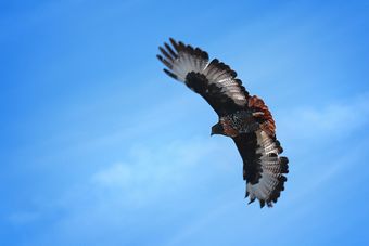 Krisjan's Lodge @ Oubaai