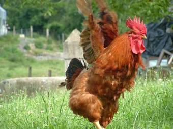 Hotel Etxegorri Landetxea