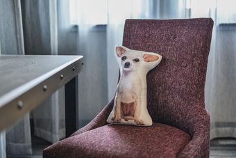 The Stella Hotel & Ballroom