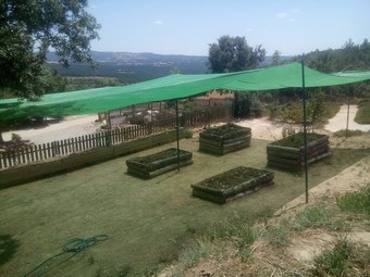 Hostal Alberg L' Auro