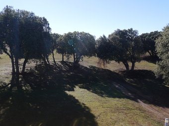 Agroturismo El Pinar De La Lobera