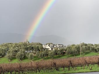 Posada Glen Ellen Inn