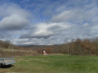 House With 2 Bedrooms In Puycelsi, With Pool Access And Enclosed Garden