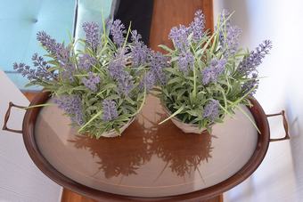 Apartamentos Acropolis Place