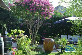 Bed & Breakfast Villa Saron