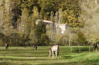 Hotel Chambres D'hotes Mas Des Fontaines
