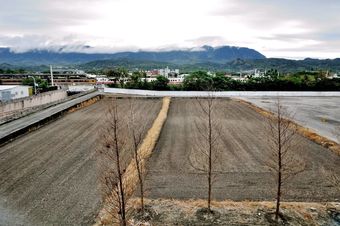 Hotel Blue Sky Hill Homestay