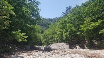 Agroturismo Moonlight House