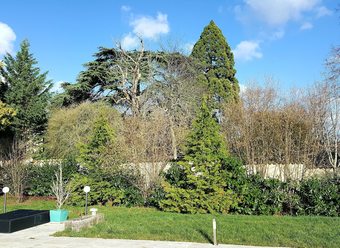 Apartamento Appartement Le Solutr�