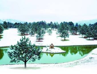 Hotel Bosques De Monterreal