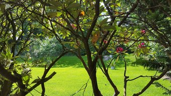 Pension Haus Waldheim