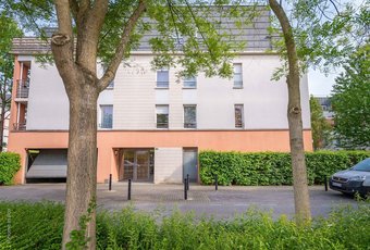 Lion King Lodge 1 Bedroom Apartment - 6 People