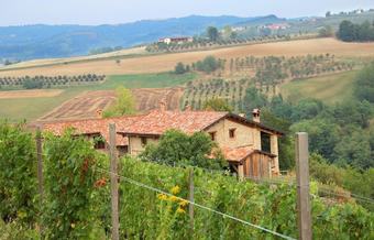 Agroturismo Agriturismo I Galli