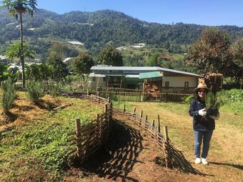 Hotel Mori Natural Farm