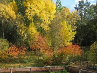 Hotel Molino De La Ferrer�a