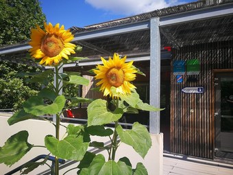 Village Vacances La Fontaine D'annibal