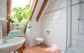 Hotel Und Landgasthaus Zur Gr�nen Erle