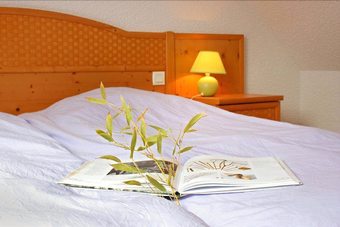 Rhodog�tes Du Go�lo - Bruy�re