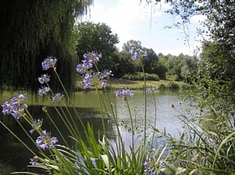 House With 2 Bedrooms In Bonnes, With Enclosed Garden And Wifi