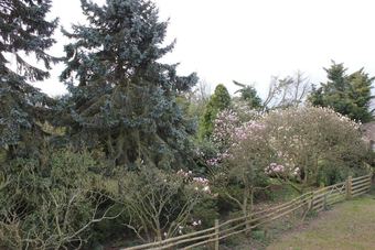 Cabana Magnolia Gardens