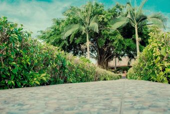 Sycomore Hotels Limited