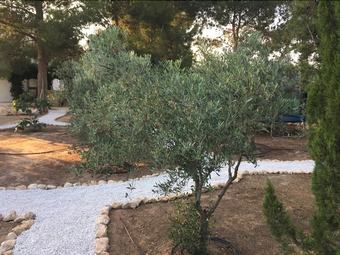 Bed & Breakfast Alegr�a