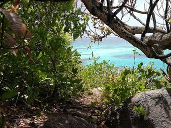 Hotel Apartamento Mango Tree