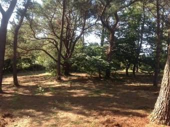 Bed & Breakfast G�te Et Chambres Du Bout Du Monde