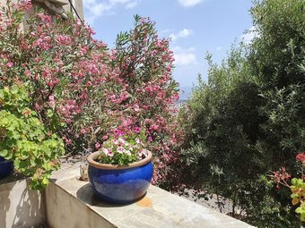 Apartamento Fior Et Andrea