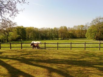 Hotel Chambres D'h�tes - Ch�teau De Preuil