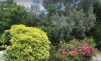 G�te Au Pied Lev� Proche De Dinan