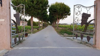 House With 3 Bedrooms In Saint-laurent-de-la-salanque, With Pool Access And Furnished Garden - 3 Km From The Beach