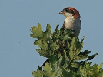 Holiday Home Rocher Saint Pons