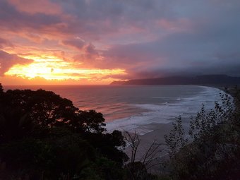 Nga Puriri Bed And Breakfast