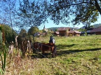 Holiday Home Hameau De L Etang Le Syndicat II