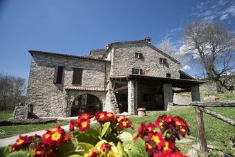 Agroturismo Bio Agriturismo La Cerqua