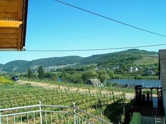 Hotel Wein- Und Gaestehaus Genetsch