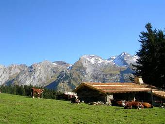 Aec Vacances - Forgeassoud