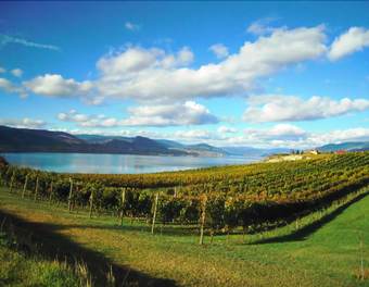 Hotel Wesbert Winery & Guest Suites