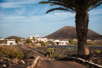 Apartamentos Ecofinca La Buganvilla - Adults Only