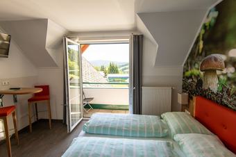 Hotel Gasthof Willenshofer