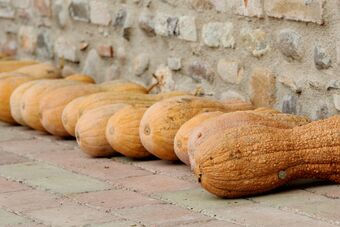 Agroturismo Corte Pioppazza