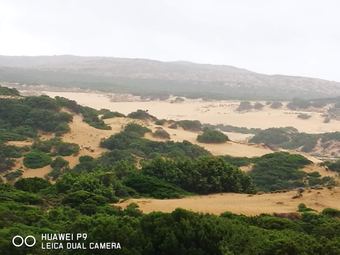 Bed And Breakfast L'abete