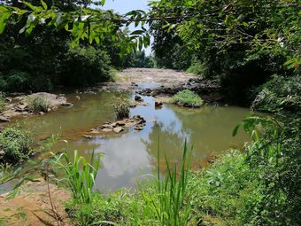 Hotel Silent Bungalow River Side