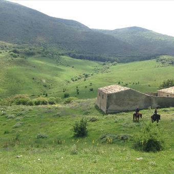 Agroturismo Azienda Agricola Traina