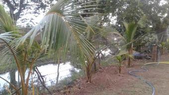 Holiday Home Notre Dame Des Palli�res