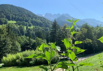 Le Communal Chalet La Renarde