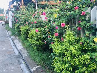 Hotel Co To Center Homestay