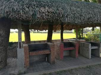 Hotel Green Star Park