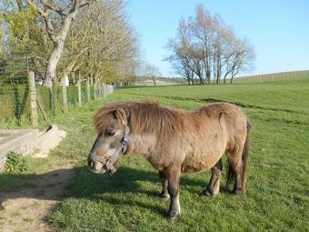 Bed & Breakfast Chambre D'h�tes La Grand' Maison